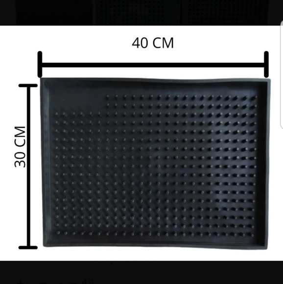 Disinfecting floor mat - Picture 3 of 6